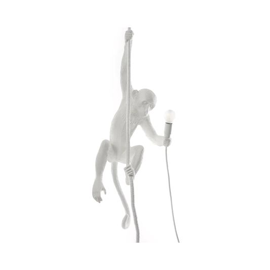 Monkey Lamp with Rope- Outdoor
