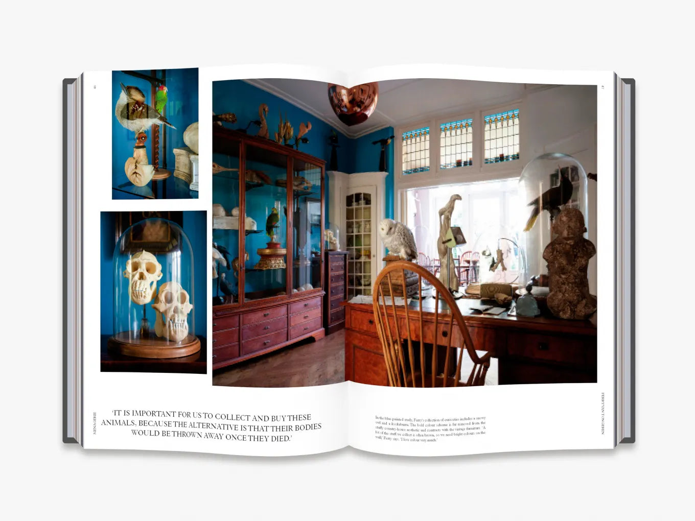 Thames & Hudson USA - Book - Cabinet of Wonders: The Gaston-Louis