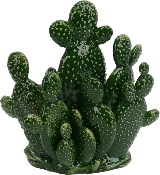 Mix Green Opuntia Echios Cactus