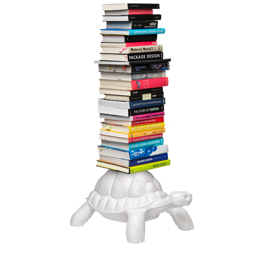 Turtle Carry Bookshelf